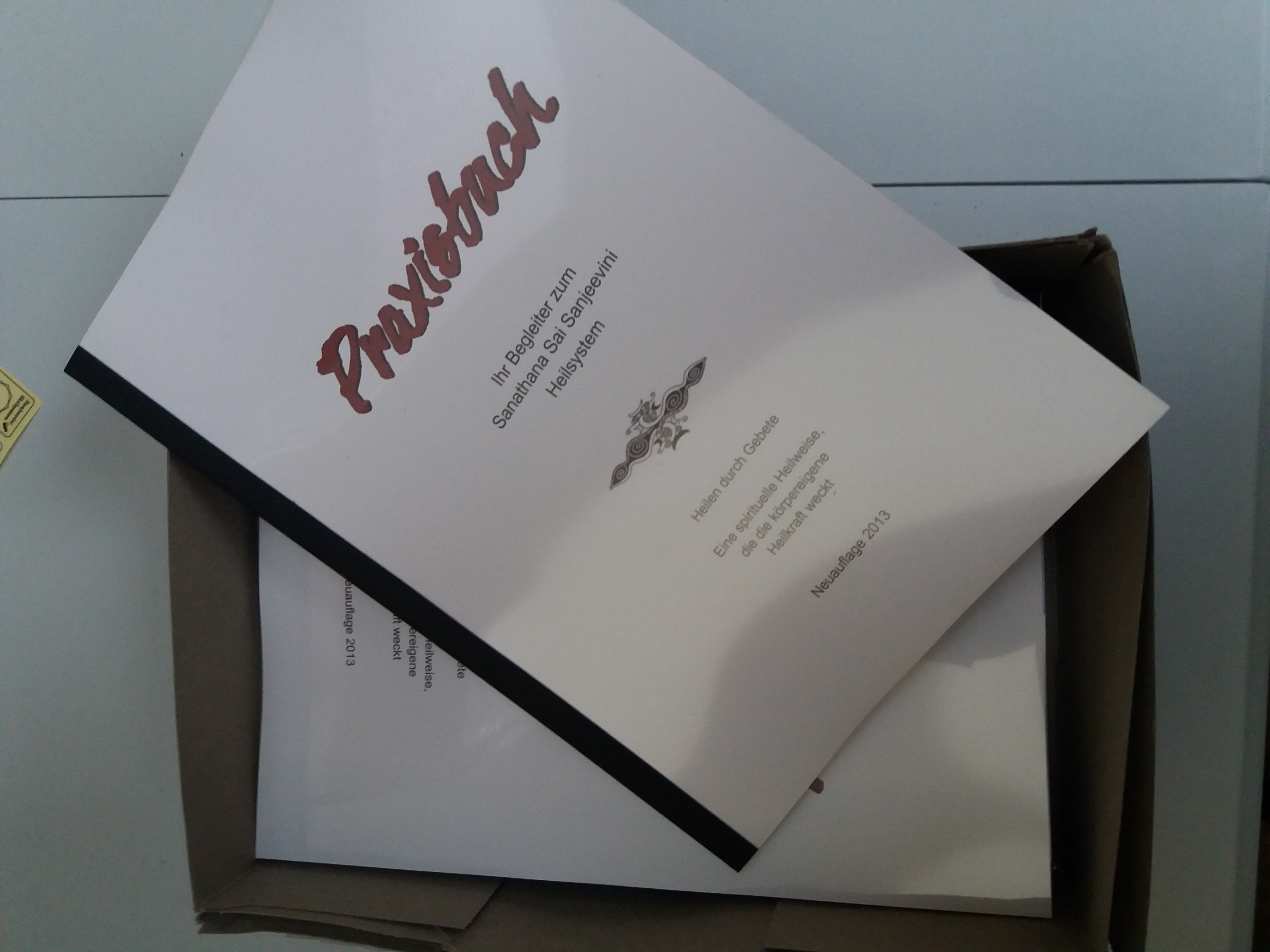 Sanjeevini Praxisbuch Auflage 2013 von Helga Hoffmann - wieder lieferbar