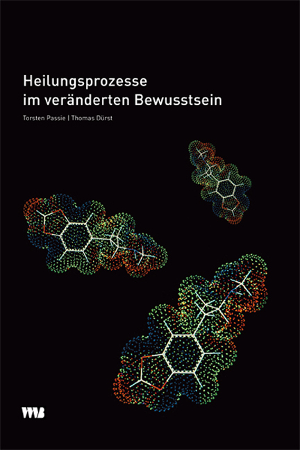 Heilungsprozesse im veränderten Bewusstsein, Torsten Passie & Thomas Dürst